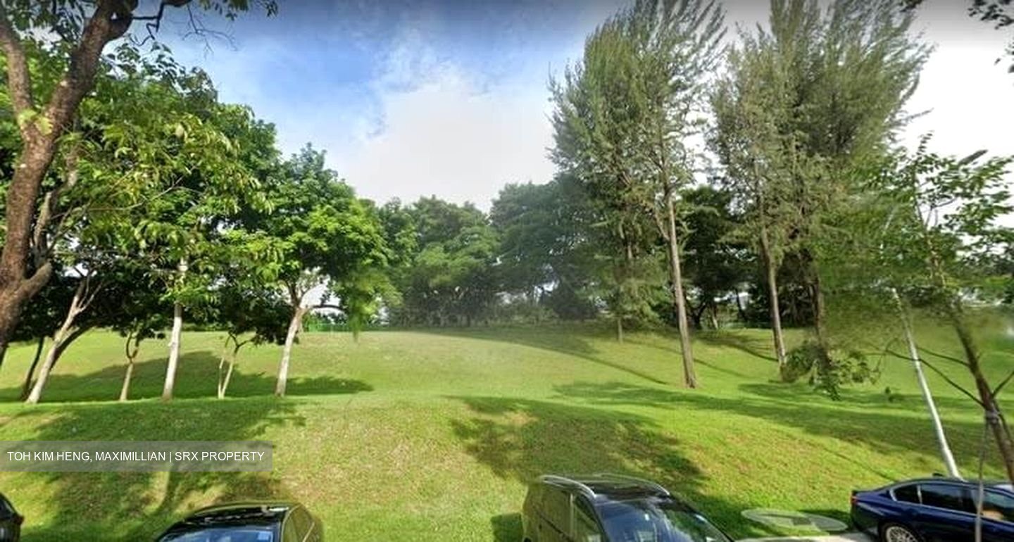 Jurong Park (D21), Detached #457157481
